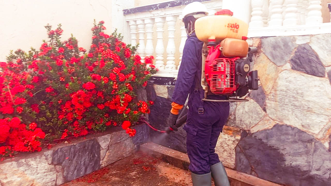 t-advance pest project picture