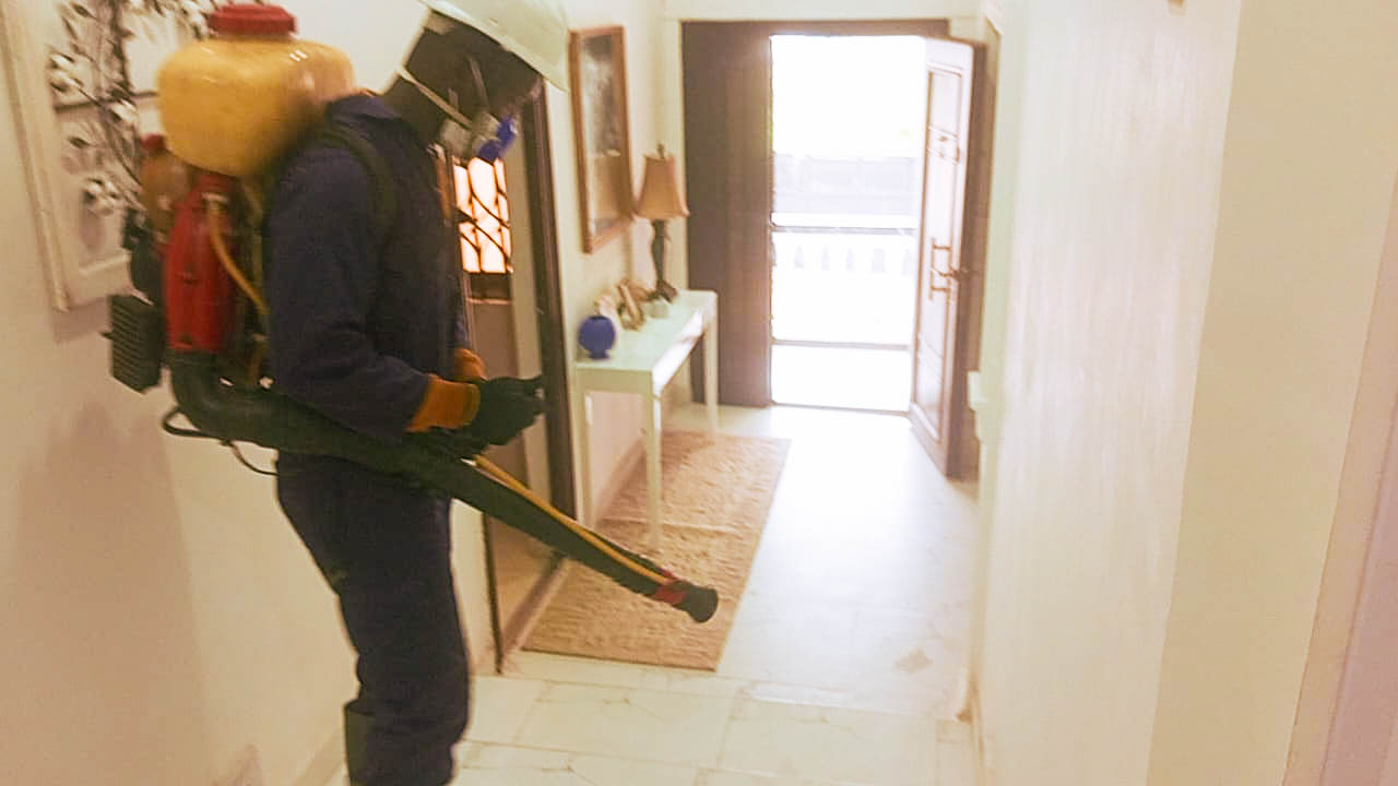 t-advance pest project picture