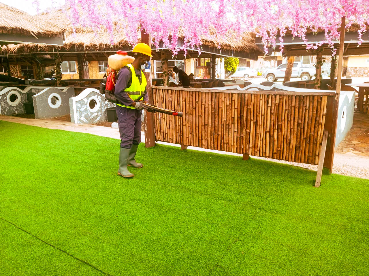 pest control project 7